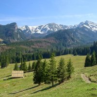 878e4b63_cf_6ad1bab0789bf_natur-4