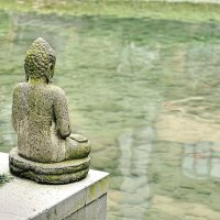9800be93_cf_6ad1bacde87ab_buddha